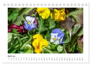Wochenmarkt - Genussvoll Einkaufen (Tischkalender 2024 DIN A5 quer), CALVENDO Monatskalender