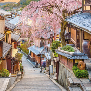 Inside Japan 2022