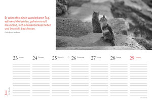Tischkalender Katzen 2025