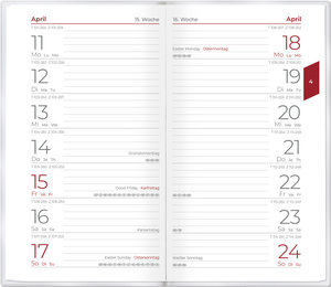 Miniplaner Style Pusteblumen 2025 - Taschen-Kalender 9x15 cm - Weekly - 64 Seiten - 1 Seite 1 Woche - Notiz-Heft - Alpha Edition