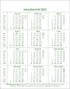 Dumme Sprüche für jeden Anlass Tagesabreißkalender 2023. Kalender für jeden Tag. Kleiner Tischkalender mit der täglichen Dosis Humor und Schlagfertigkeit.