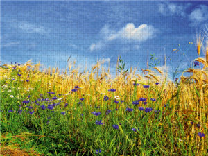 CALVENDO Puzzle Ein Motiv aus dem Kalender Kornblumen - Blaue Schönheiten 1000 Teile Puzzle quer