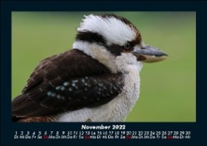 Vogel Kalender 2022 Fotokalender DIN A5