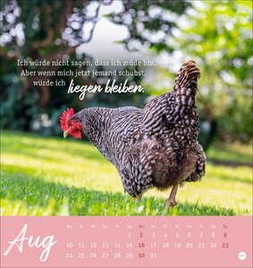 Hühner Postkartenkalender 2026