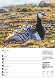 Heimische Vögel Wochenplaner 2026