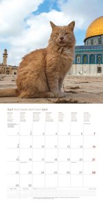 Cats Around the World 2024 - Wand-Kalender - Broschüren-Kalender - 30x30 - 30x60 geöffnet - Katzen-Kalender