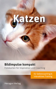 Bildimpulse kompakt: Katzen
