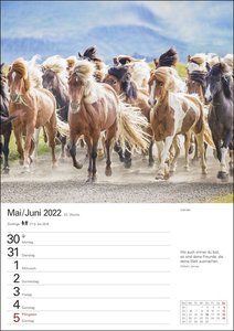 Pferde Kalender 2022