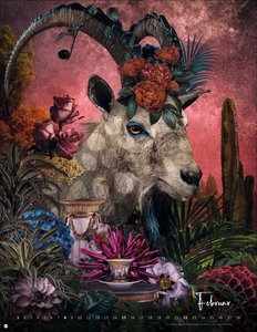 André Sanchez: Tierporträts Posterkalender 2026