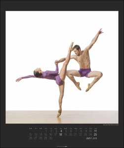 Dance - Lois Greenfield Kalender 2023
