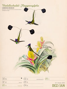 Wunderbare Vogelwelt - Vintage Wochenplaner Kalender 2024