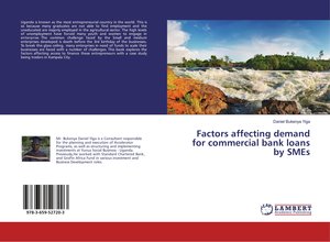Factors affecting demand for commercial bank loans by SMEs