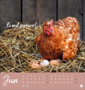 Hühner Postkartenkalender 2026