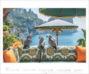 Jungle House Kalender 2026