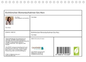 Eichhörnchen Momentaufnahmen fürs Herz (Tischkalender 2023 DIN A5 quer)