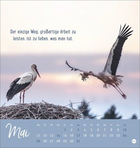 Never give up! Postkartenkalender 2026