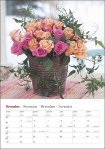 Rosenpracht Kalender 2022
