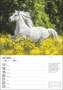 Pferde Wochenplaner 2023. Wochenkalendarium, Zitate und Pferdefotos in einem praktischen Termin-Kalender. Funktion trifft auf Design: Hochwertiger Fotokalender mit Raum für Notizen.