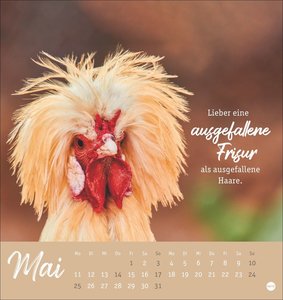 Hühner Postkartenkalender 2026