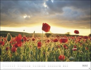 Blütenmeer Posterkalender 2023. Wandkalender mit 12 beeindruckenden Landschaftsfotos. Dekorativer Jahres-Kalender mit üppigen Blumenwiesen. 44x34 cm. Querformat