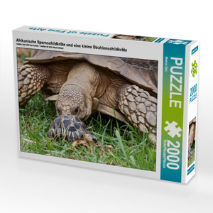 CALVENDO Puzzle Afrikanische Spornschildkröte und eine kleine Strahlenschildkröte 2000 Teile Puzzle quer