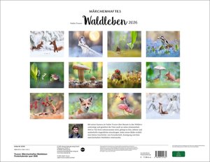 Vadim Trunov: Märchenhaftes Waldleben Posterkalender 2026