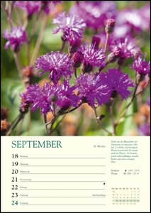 Ein Jahr in meinem Garten – Wochenkalender 2023 – Garten-Kalender mit 53 Blatt – Format 21,0 x 29,7 cm – Spiralbindung