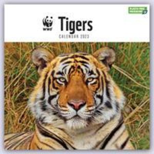 WWF Tigers - Tiger 2023