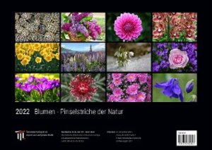 Blumen - Pinselstriche der Natur 2022 - Black Edition - Timokrates Kalender, Wandkalender, Bildkalender - DIN A3 (42 x 30 cm)
