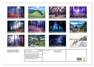Mystische Wälder - Zauber der Natur (Wandkalender 2024 DIN A2 quer), CALVENDO Monatskalender