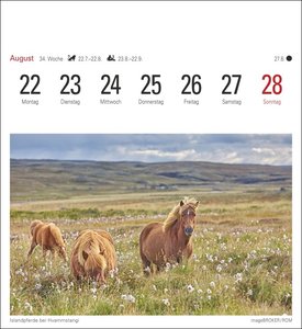 Island Kalender 2022
