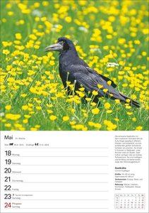 Heimische Vögel Wochenplaner 2026