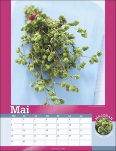 Der Duft von Kräutern und Gewürzen 2023. Kalender mit Duftnote - über die Seite reiben und schnuppern! Großer Fotokalender mit tollen Detailaufnahmen von Kräuterpflanzen.
