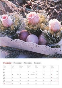 Rosenpracht Kalender 2022