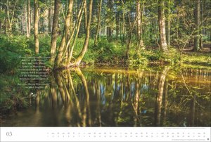 Der deutsche Wald - Ein literarischer Spaziergang Kalender 2026 - Ein literarischer Spaziergang