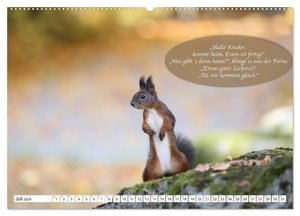 Eichhörnchen - Lustige Kurzgeschichten mit den quirligen Wildtieren (Wandkalender 2024 DIN A2 quer), CALVENDO Monatskalender