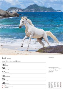 Pferde Wochenplaner 2026 - 53 faszinierende Fotografien