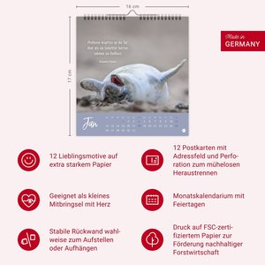 Never give up! Postkartenkalender 2026