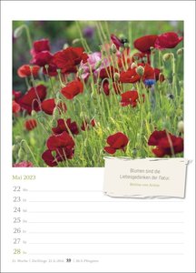 Zauberhafte Gärten Wochenkalender 2023. Dekorativer Wandplaner zum Eintragen mit 53 romantischen Garten-Fotos und Zitaten. Termin-Kalender 2023 für die Wand. 17x23 cm