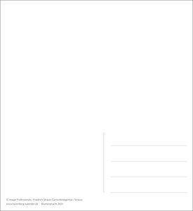 Blumenpracht Postkartenkalender 2025 - Wochenkalender mit 53 Postkarten