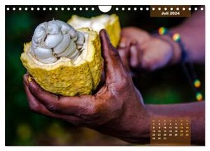 Früchte der Karibik (Wandkalender 2024 DIN A4 quer), CALVENDO Monatskalender