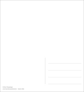 Katzen Postkartenkalender 2026