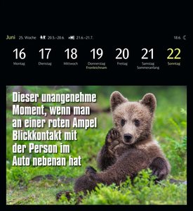 Animal Memes Postkartenkalender 2025 - 53 tierisch witzige Postkarten