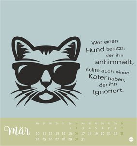 Katzensprüche Postkartenkalender 2025