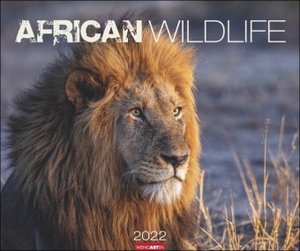 African Wildlife Kalender 2022
