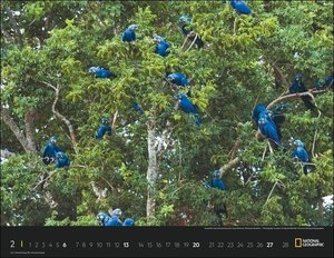 Colourful World Posterkalender National Geographic 2022