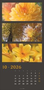 Die Farben der Natur Kalender 2026