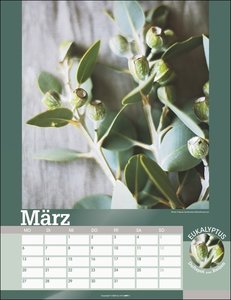 Der Duft von Kräutern und Gewürzen 2023. Kalender mit Duftnote - über die Seite reiben und schnuppern! Großer Fotokalender mit tollen Detailaufnahmen von Kräuterpflanzen.