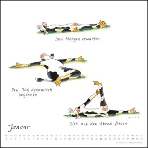 Mit den Yoga-Kühen durchs Jahr 2023 – Wandkalender – Quadratformat 24 x 24 cm