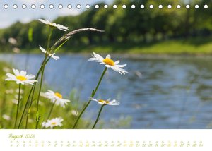 Kölner Natur. Auszeit Decksteiner Weiher (Tischkalender 2023 DIN A5 quer)